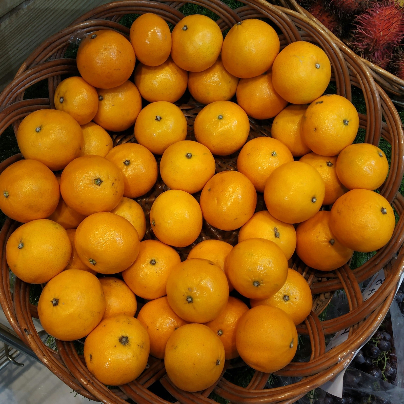 Photo 017